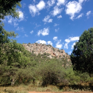 Area surrounding our tent at Fossil Creek.